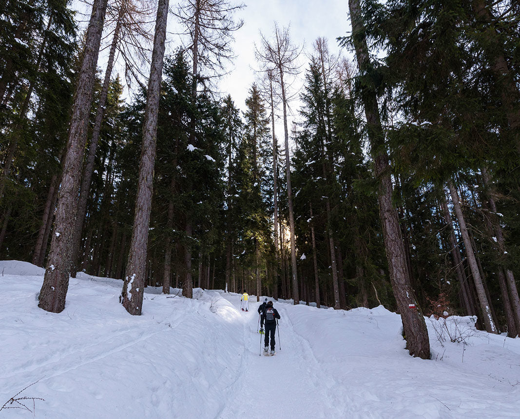 Pineta Nature Resort 4* in Val di Non - 2 nights