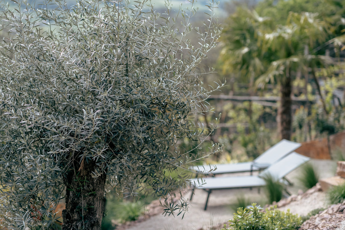 La Libella - slow living suites - Dorf Tirol